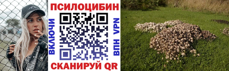 Псилоцибиновые грибы Psilocybe  как найти закладки  Судак 
